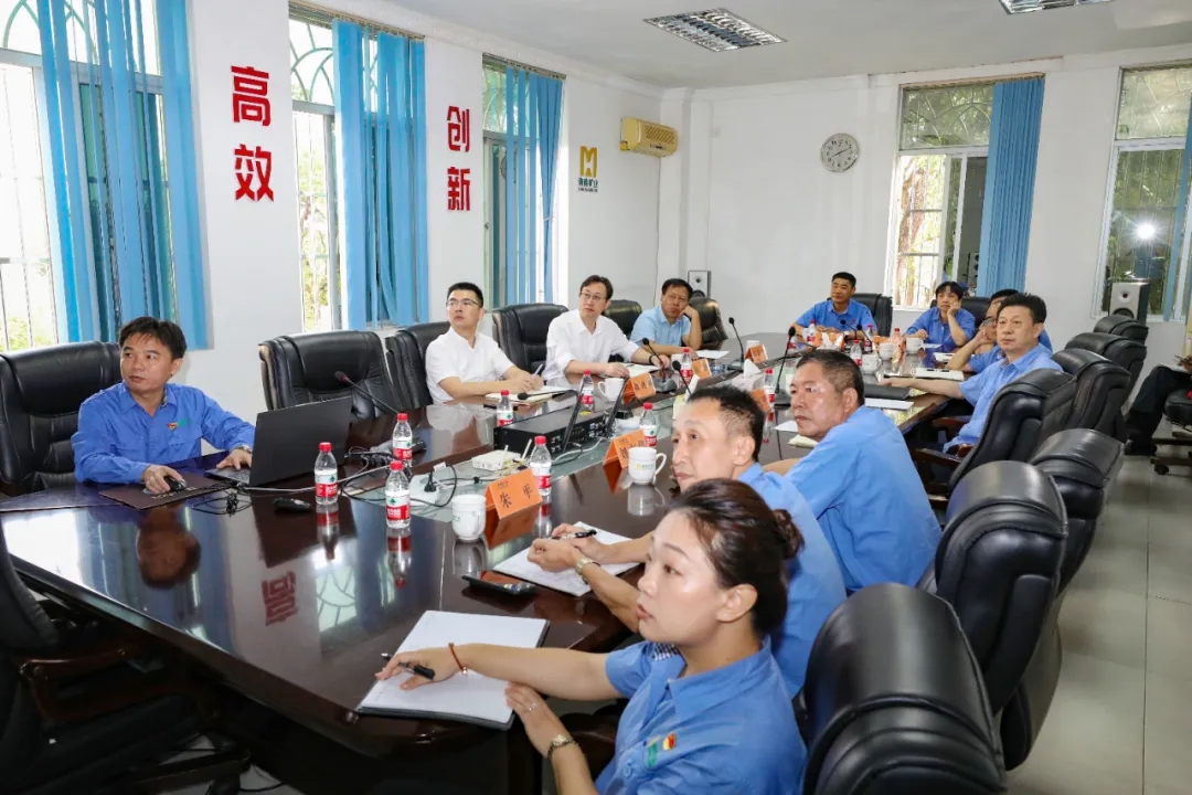 海南省總工會副主席陳波一行到海南礦業(yè)調(diào)研指導1.webp.jpg