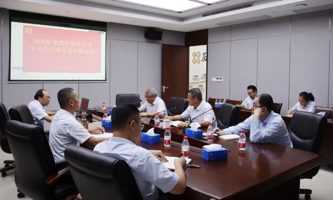 海南礦業(yè)安委會學(xué)習(xí)宣貫《關(guān)于進(jìn)一步加強(qiáng)礦山安全生產(chǎn)工作的意見》