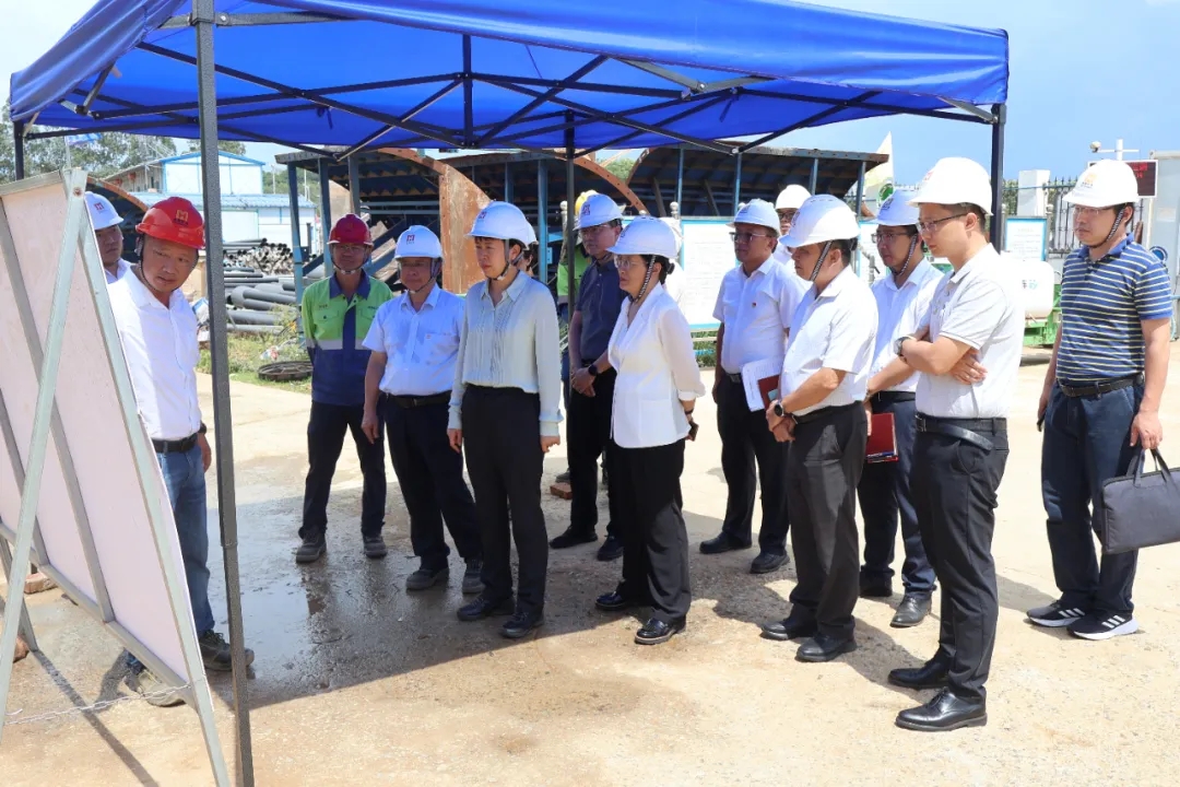 海南省副省長尹麗波赴星之海2萬噸氫氧化鋰項目現(xiàn)場調(diào)研