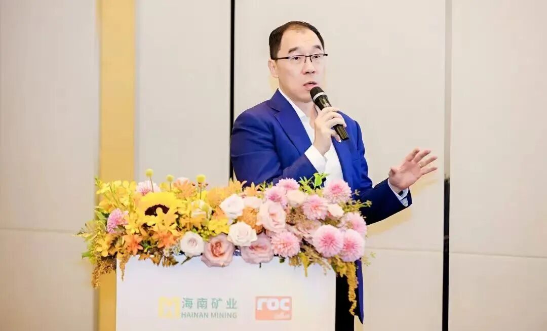 海南礦業(yè)董事長(zhǎng)滕磊：借自貿(mào)港政策打通跨境資金鏈 構(gòu)建“海外資源+海南加工”模式